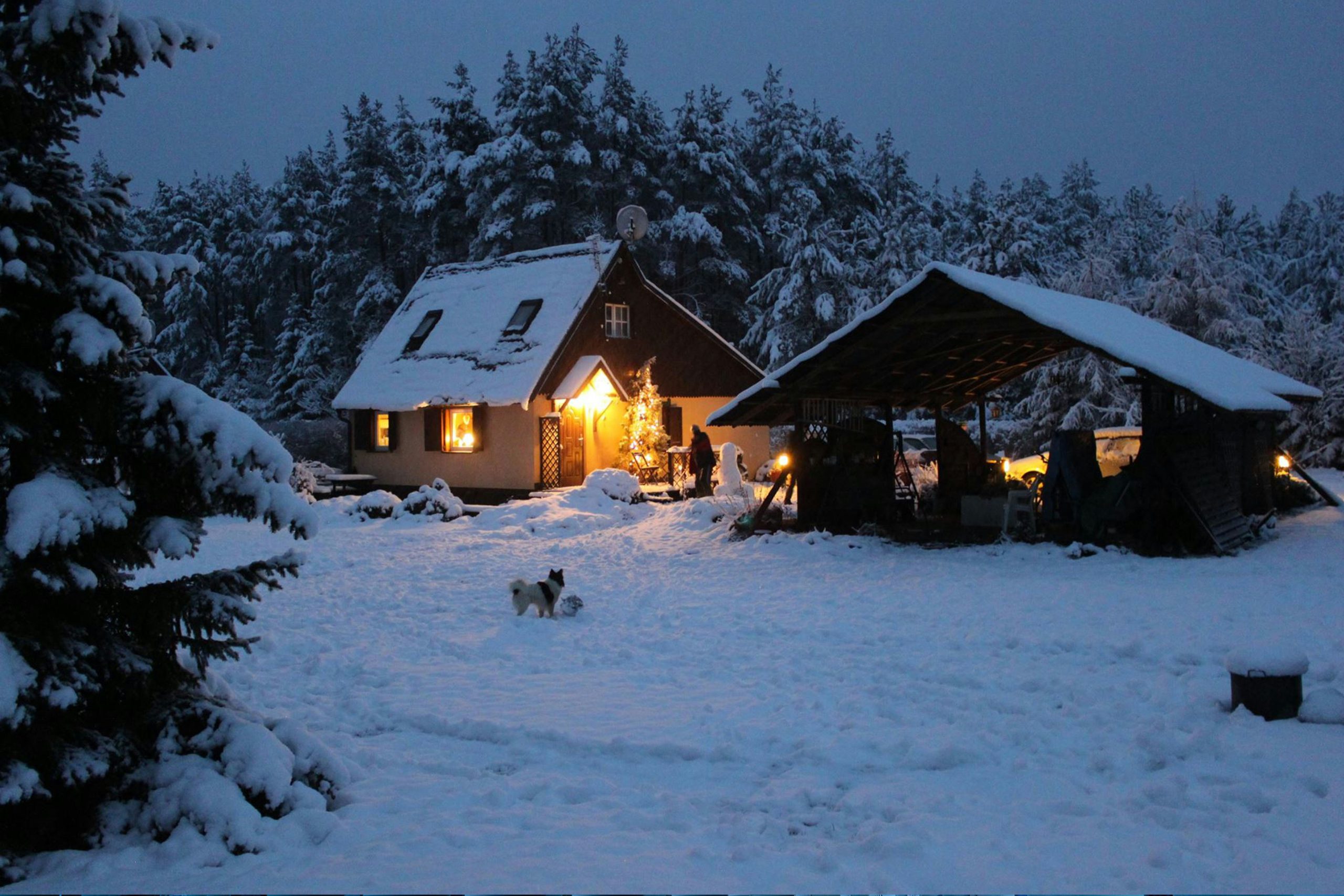 A cottage lit up on a snowy evening, windows and doors sealed against the cold