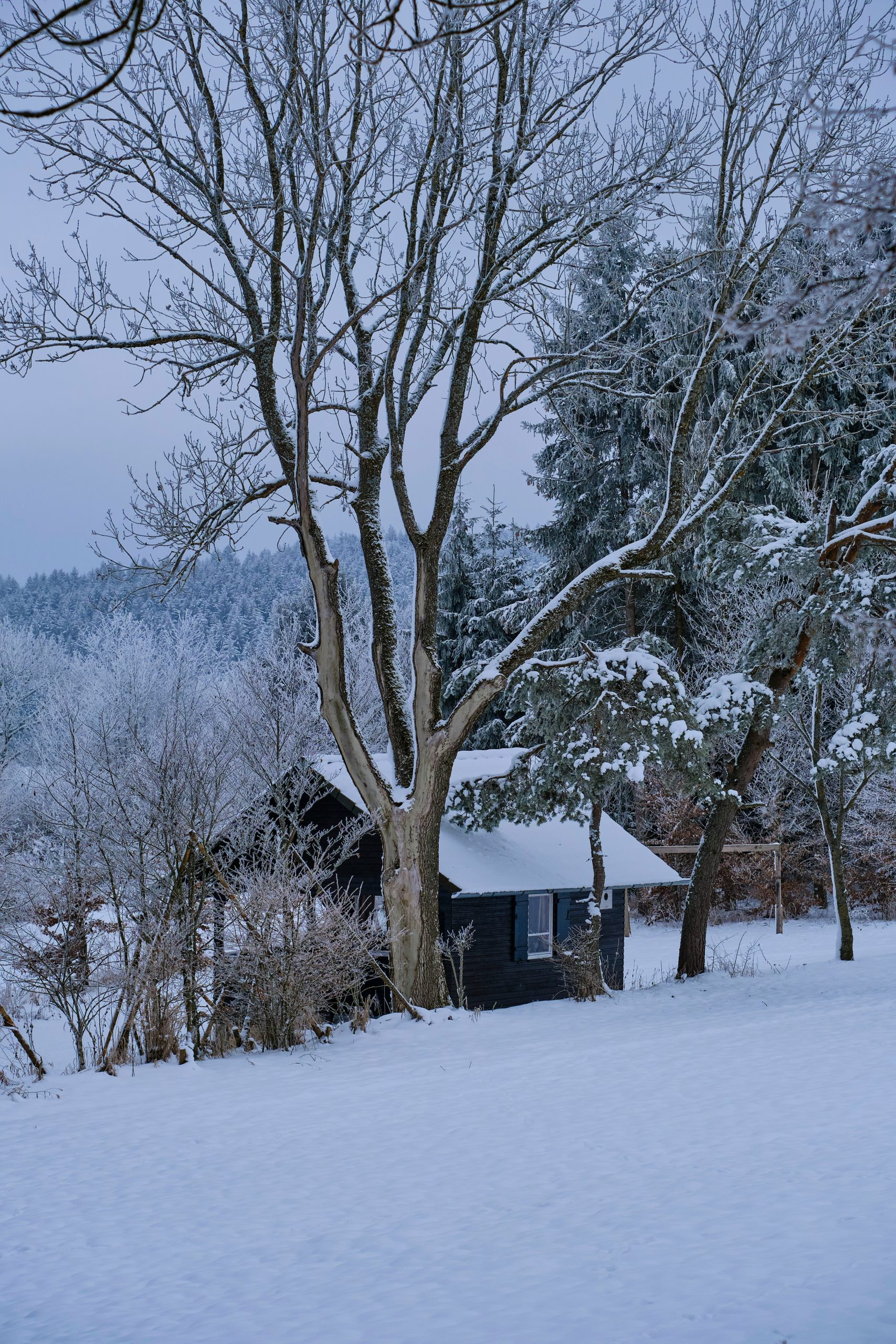 A three-season cottage tucked among snowy trees, closed up for the winter
